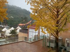 -重庆南山海昌汤都