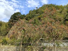 -林坑古村落