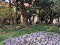 -上海安亭别墅花园酒店