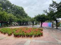 -观澜湖生态运动公社