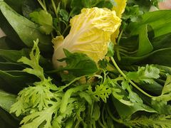 -草原传奇鲜羊火锅(桥北店)