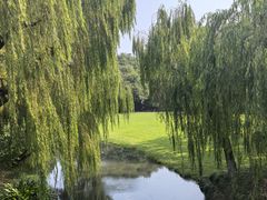 -柳浪闻莺公园