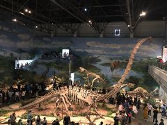 -自贡恐龙博物馆