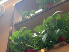 -好這口重庆小面(总店)
