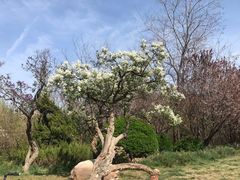 -大连植物园