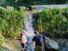 -素山寺森林公园