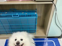 -嘉馨宠物医院·CT影像转诊·心脏科·犬猫全科诊疗中心(下沙大学城院区)