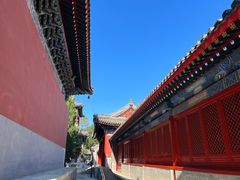 -北京艺术博物馆(万寿寺)