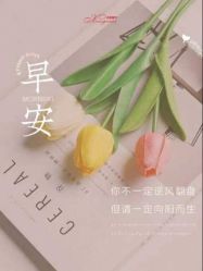 点击看大图 -香薇妮丝女子减肥院