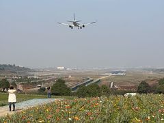 -空港花田景区