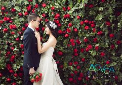android_upload_pic-爱城婚纱摄影·品质严选店