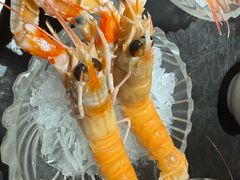 -半岛翡丽海鲜自助餐厅(观风亭店)