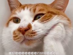 -常识咖啡common sense(春熙路店)