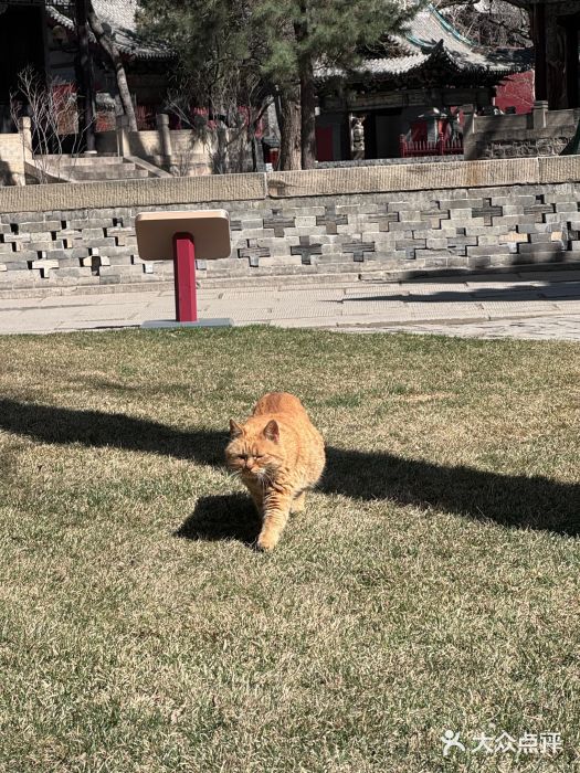 晋祠博物馆图片