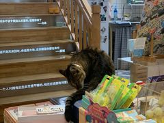 -猫的天空之城概念书店(杭州南宋御街店)