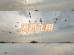 -海驴岛(荣成市)