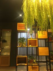 -藤野造型·专业烫染店
