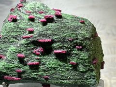 -甘肃地质博物馆