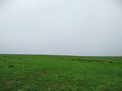 -希拉穆仁草原
