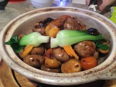 烩蘑菇煲-106餐厅(山水文园店)