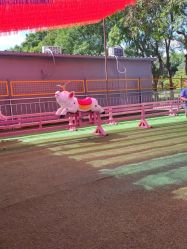 -寻石问宝研学亲子乐园(朝阳公园店)