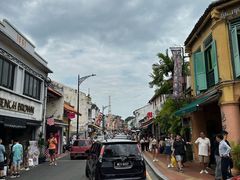 -马六甲鸡场街