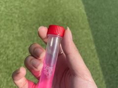 -上海海事大学(临港校区)