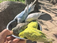 -北戴河集发农业梦想王国