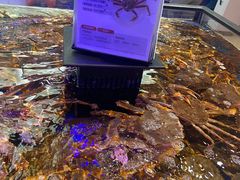 -盒马鲜生(大成店)