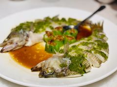 清蒸鲈鱼-衡山汇·高级粤菜(霄云路店)