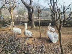 -无锡动物园·太湖欢乐园
