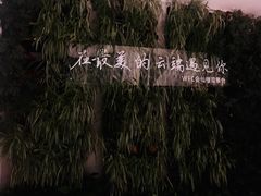 -WFC会仙楼观景台