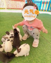 -萌宠亲子动物乐园(槐房万达店)