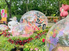 -上海共青森林公园