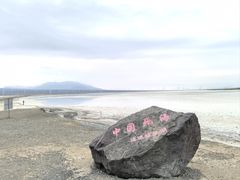 -盐湖景区