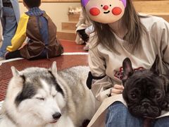-和它·交个朋友·狗咖猫咖(爱琴海店)