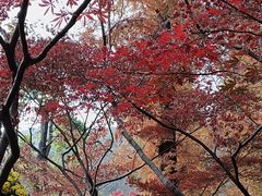 -无锡惠山寺