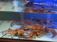-阿伟海鲜楼·福建菜(延寿店)