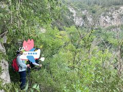 -龙洞风景区-藏龙涧