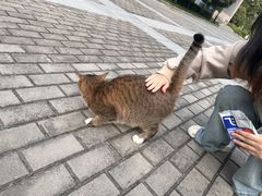 -河海大学(江宁校区)