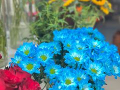 -花屿鲜花(淡水店)