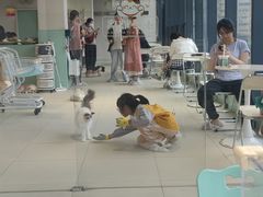 -怪兽屋·羊驼·猫咖·狗咖(俊华广场店)