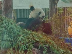 -上海动物园(地铁站)