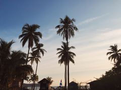 -真浪花园海鲜餐馆