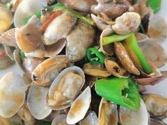 姜葱炒花甲-七鲜渔港美食餐厅(巽寮湾海景店)