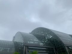 -南山植物园