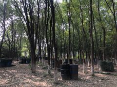 -亲兄弟真人CS团建拓展基地