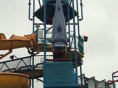 -苏州乐园森林水世界