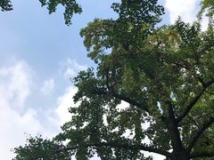 -苏州市立医院本部母子保健中心
