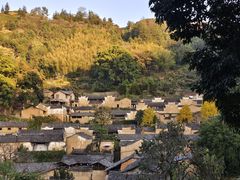 -杨家堂村